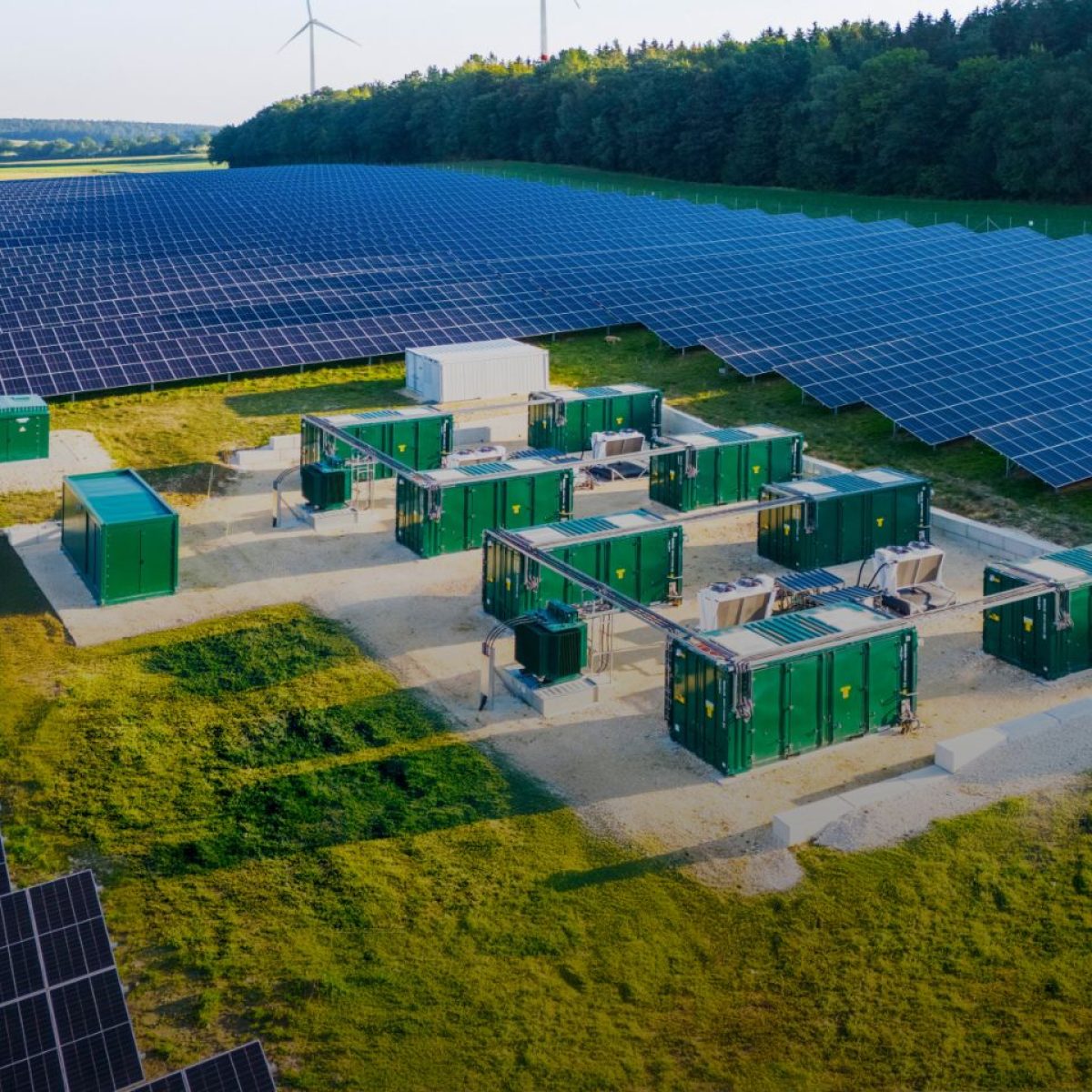 Using the sun in more ways than one: How solar can contribute to a sustainable European Agricultural policy